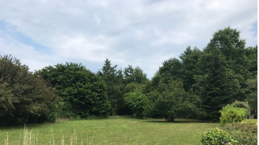 8 terrains à bâtir libre de constructeur à la vente sur la commune de Belin Bélier